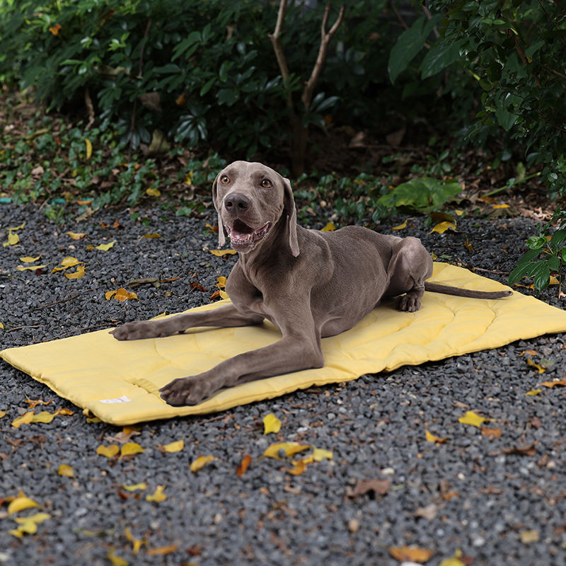 Draagbare Dierenmat Opvouwbare - Outdoor Rug Waterproof recensie en prijs