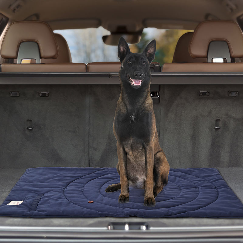 Draagbare Dierenmat Opvouwbare - Outdoor Rug Waterproof recensie en prijs
